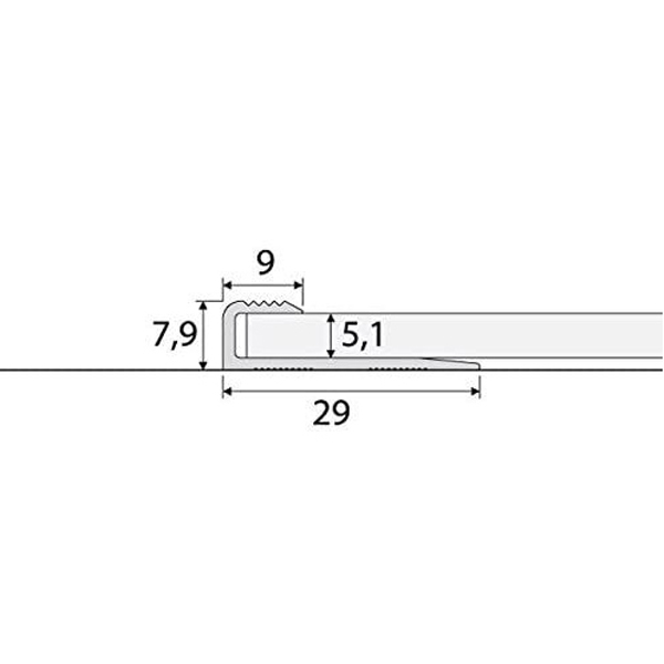 Anodised Aluminium Floor Trim Carpet Edge Ending Profile Cover Strip 